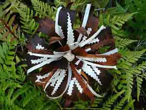 Tapa Flower made from the bark of Banyan and breadfruit trees
