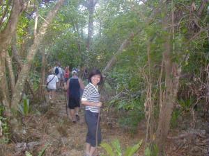 Captain Cooks trail