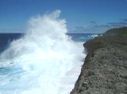 The Makatea of the northeast coast