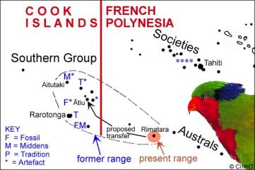 Historical distribution of the Red Lorikeet