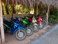 Rental scooters for hire
