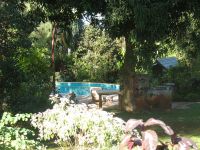 Tropical garden