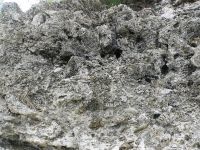 Makatea or Fossil Coral